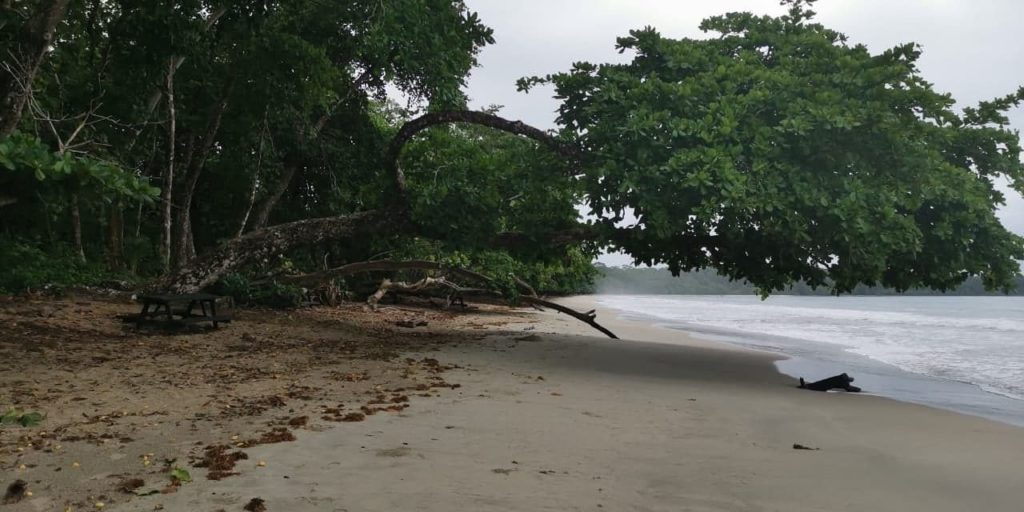 Cahuita Beach