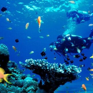 Caño Island Scuba Diving