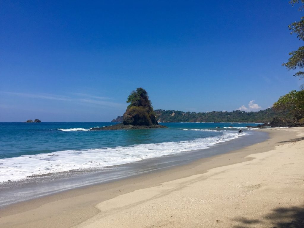 5 raisons pour lesquelles vous devriez faire une visite guidée du parc Manuel Antonio