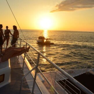 Ocean King Catamaran