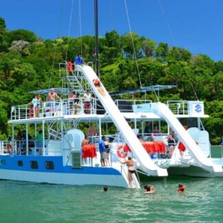 Planet Dolphin Catamaran