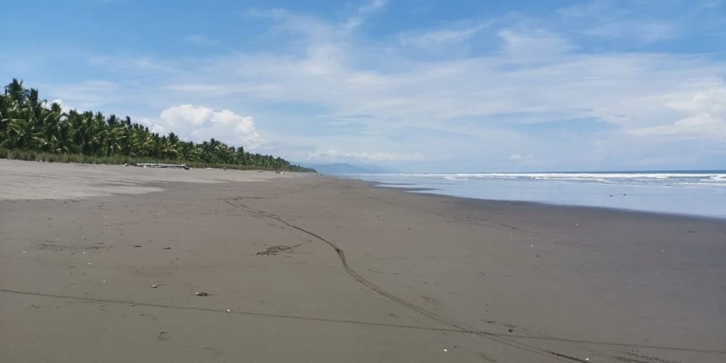 Aventure tout-terrain dans une partie cachée du parc national de Manuel Antonio : direction Playa Rey