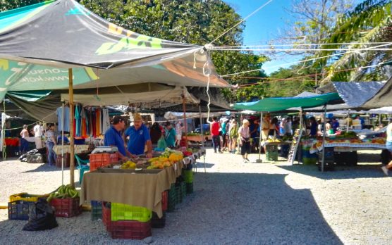 Quepos Feria