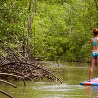 Damas Mangrove Paddle Board