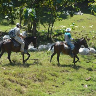 Horseback Riding Rancho Don Juan