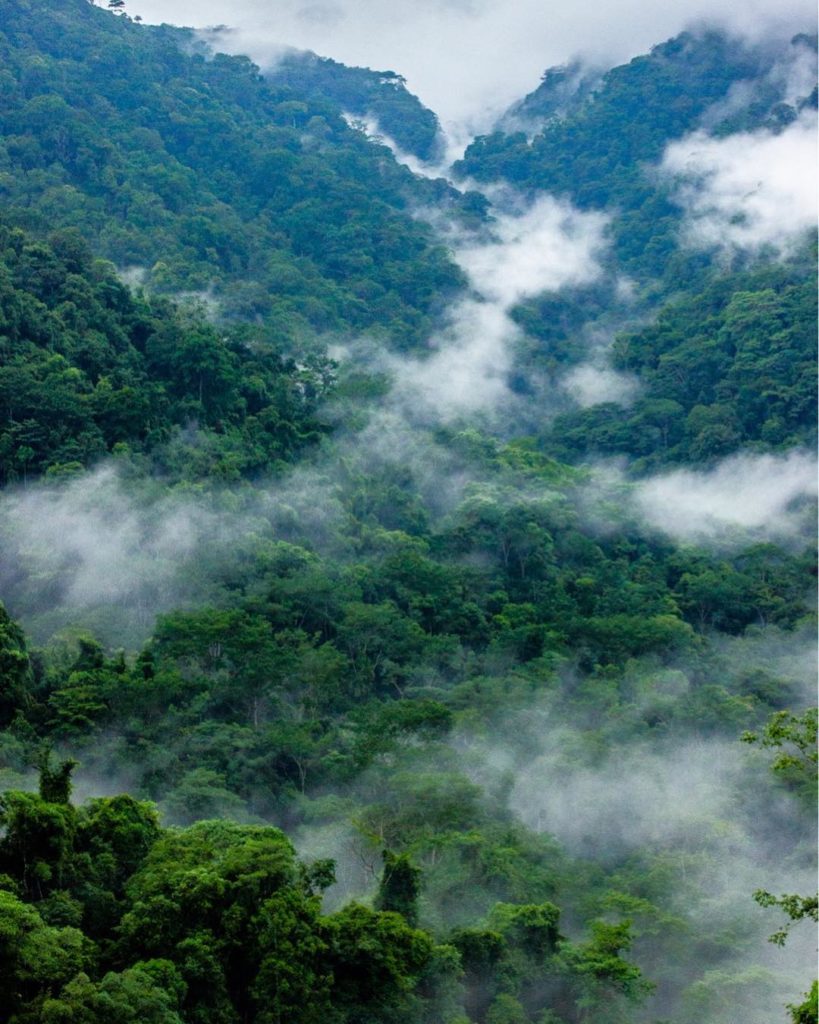 Parc national Carara