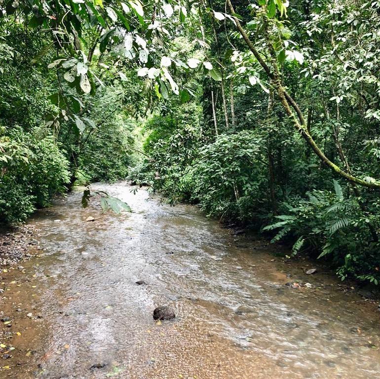 Parc national Carara