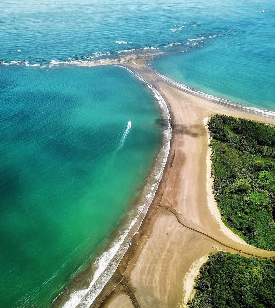 Marino Ballena National Park - Whale Watching Tour in Costa Rica