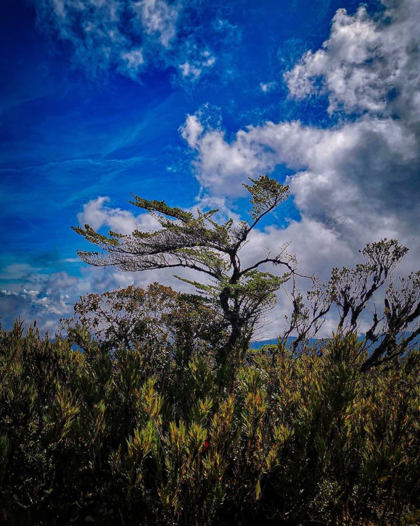 Los Quetzales National Park