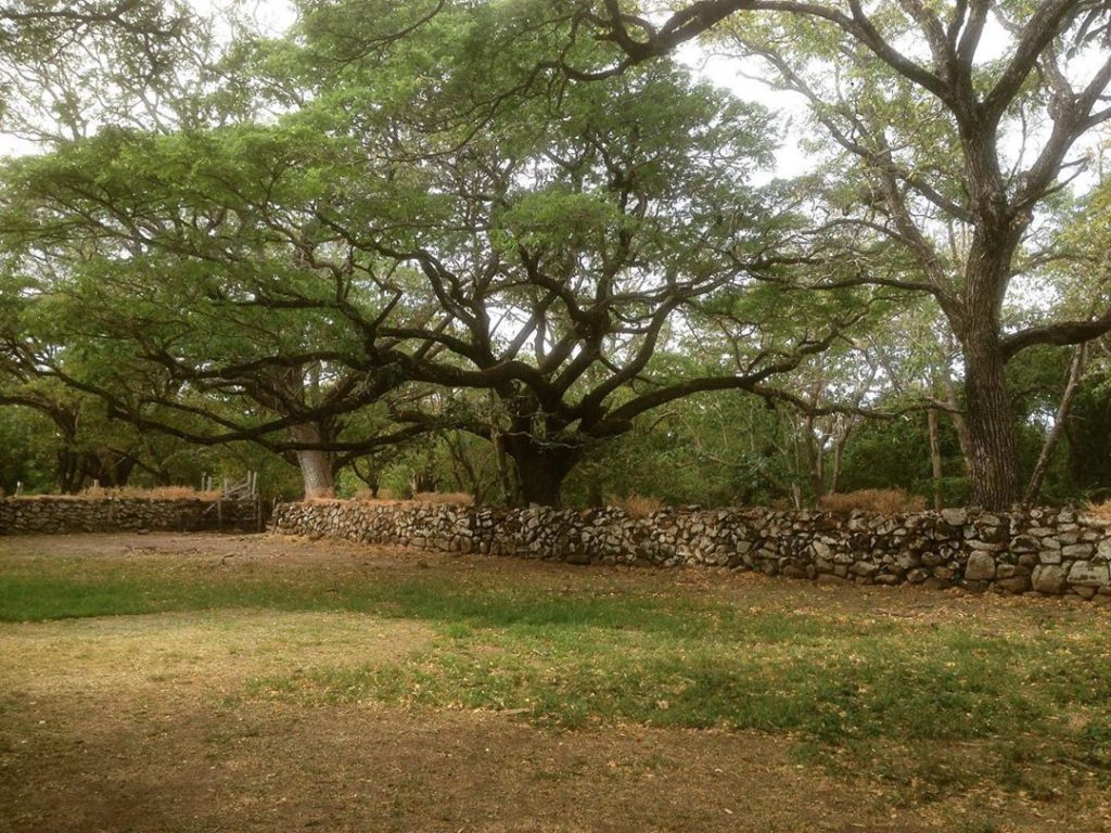 Santa Rosa National Park