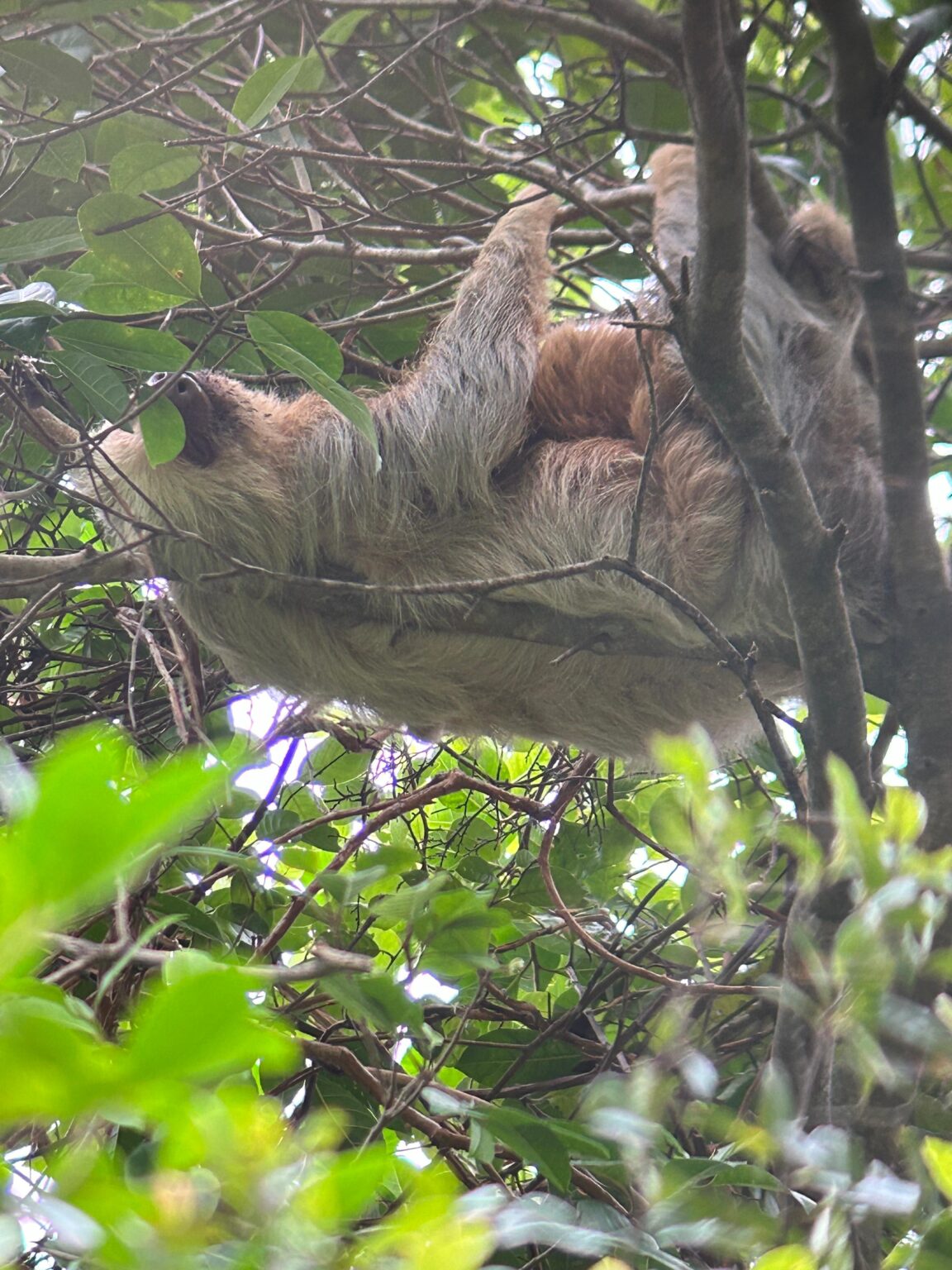 Exciting Wildlife Tour