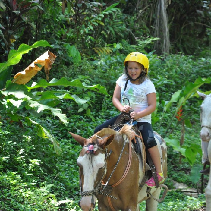 Tucanes Horseback Tour 4h