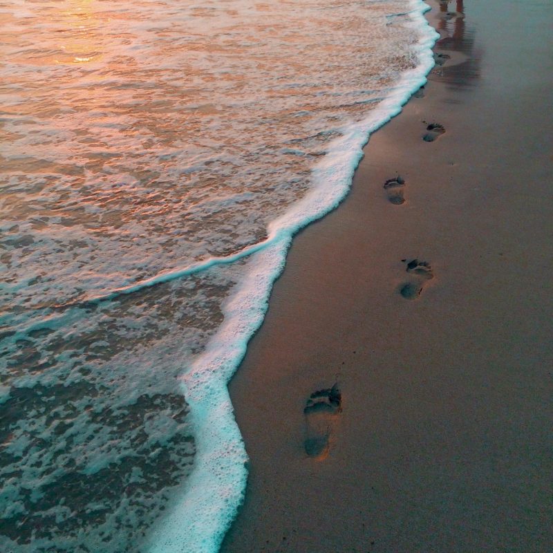 Budget Package Manuel Antonio Costa Rica