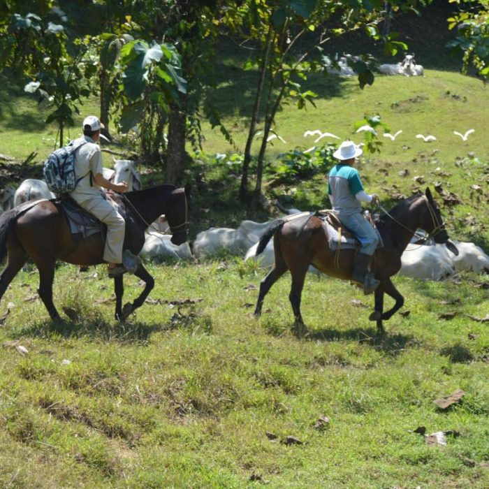 Horseback Riding Rancho Don Juan