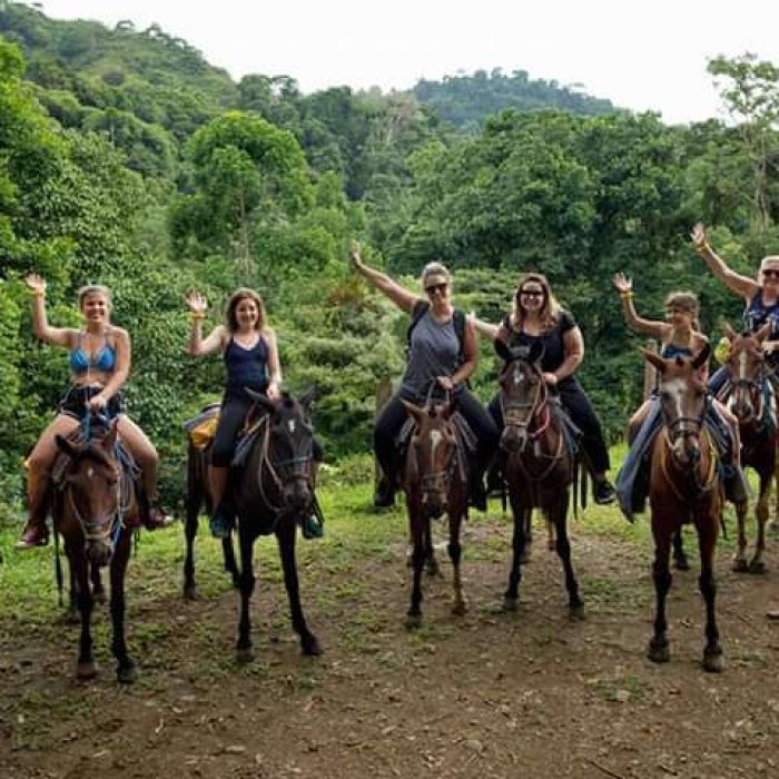 Horseback Waterfall Tour Brisas del Nara 4h